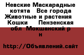 Невские Маскарадные котята - Все города Животные и растения » Кошки   . Пензенская обл.,Мокшанский р-н